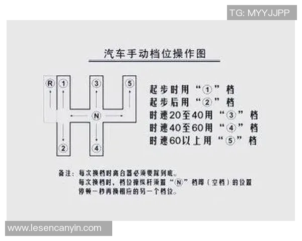 提高游泳水平的实用技巧与科学训练方法全面指南