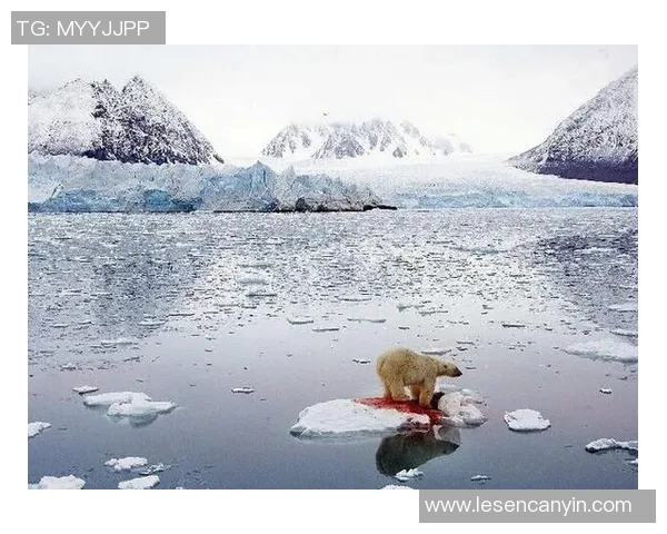 最新全球气候变化报告发布 气温升高趋势加剧 全球应对迫在眉睫
