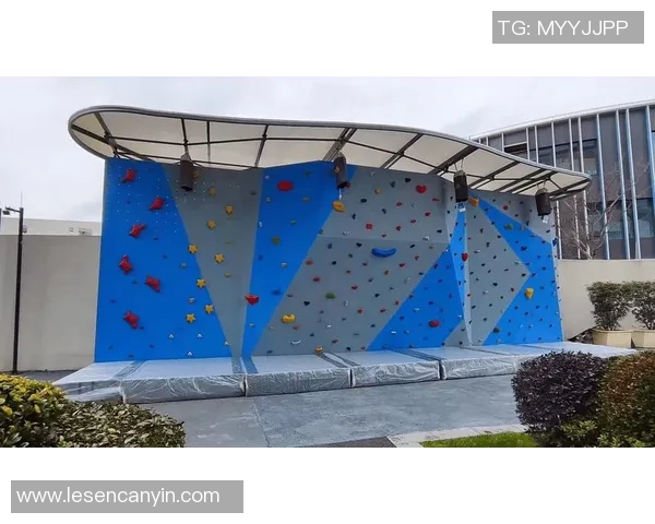 南京攀岩队战术解析：如何在比赛中提升竞技水平与团队协作能力