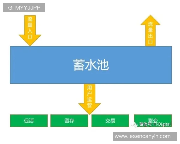 深度分析重庆排球队的运营策略与市场推广模式